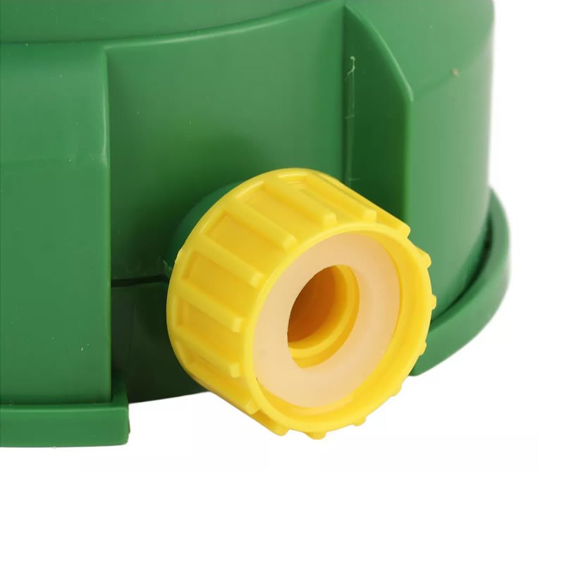 Sapo Por Água Abaixo